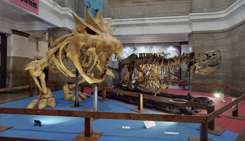 pokemon fossil museum virtual tour screenshot 1