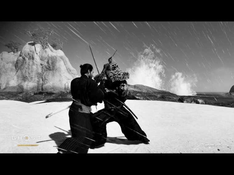 Ghost of Tsushima Director's Cut pc screenshot 2