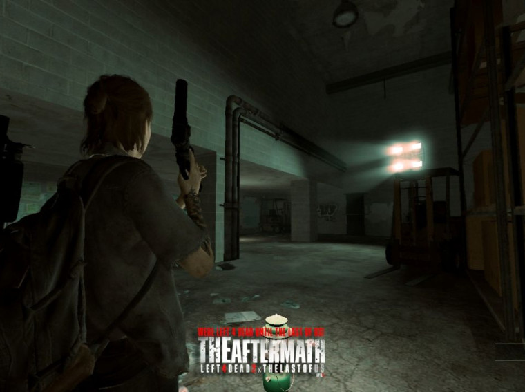 left 4 dead 2 the last of us mod 3