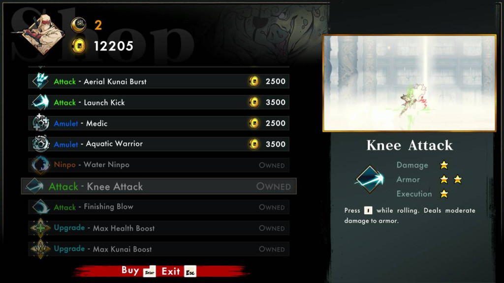 shinobi art of vengeance knee attack