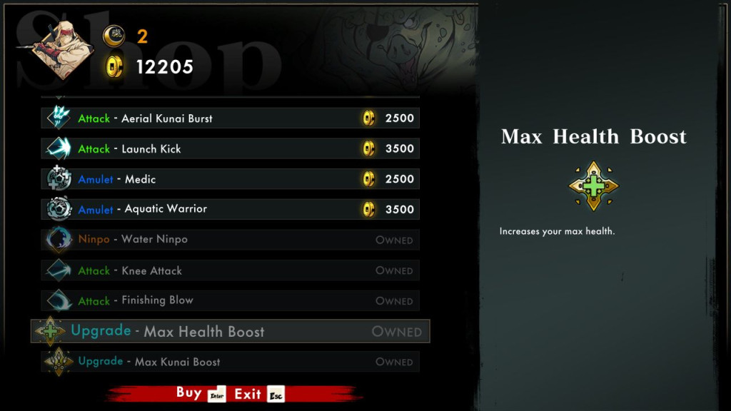 shinobi art of vengeance max health boost