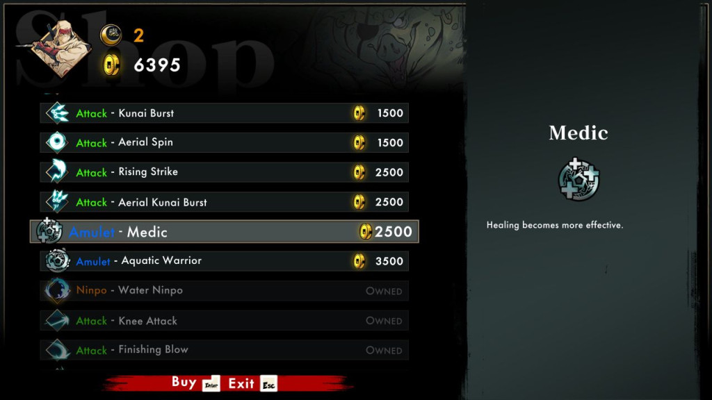 shinobi art of vengeance medic