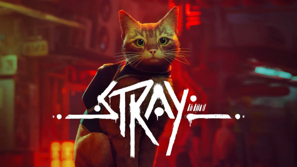 stray key art