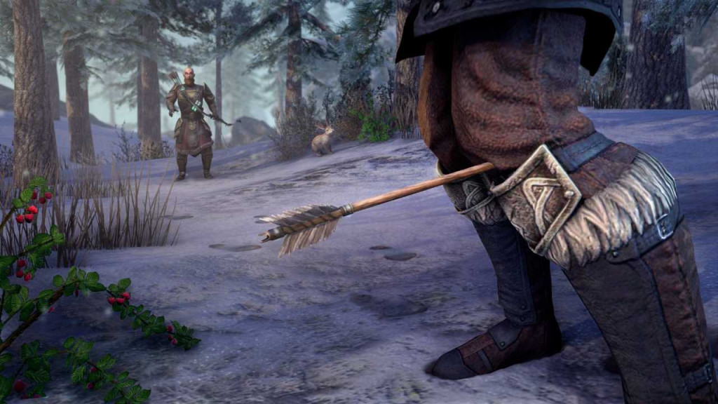 the elder scrolls online season zero screenshot02