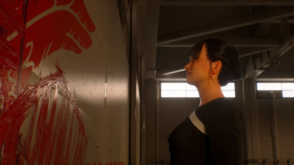 ace combat 8 kate evans